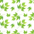 Watercolor hand drawn seamless pattern with abstract tree branches with green leaves isolated on white background. Royalty Free Stock Photo