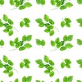 Watercolor hand drawn seamless pattern with abstract tree branches with green leaves isolated on white background. Royalty Free Stock Photo