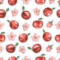 Watercolor hand drawn seamless pattern with apple flowers, leaves and red apples. beauttiful modern Royalty Free Stock Photo