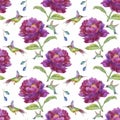 Watercolor hand drawn seamless pattern with beautiful flowers and colorful birds on white background. Royalty Free Stock Photo