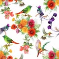 Watercolor hand drawn seamless pattern with beautiful flowers and colorful birds on white background. Royalty Free Stock Photo