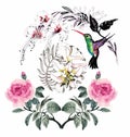 Watercolor hand drawn seamless pattern with beautiful flowers and colorful birds on white background. Royalty Free Stock Photo