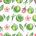 Watercolor hand drawn seamless pattern with branch of  apple flowers, leaves and green apples. beauttiful modern background with Royalty Free Stock Photo