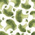 Watercolor hand drawn seamless pattern with broccoli. Royalty Free Stock Photo