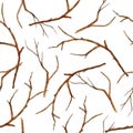Watercolor hand drawn seamless pattern with brown branches twigs without leaves. Autumn fall winter illustration, wood