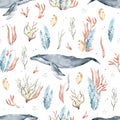 Watercolor hand drawn seamless pattern, colorful illustration of humpback blue whale, sea underwater plants, seaweeds Royalty Free Stock Photo