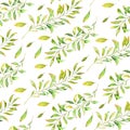 Watercolor hand drawn seamless pattern with different type of green leaves and branches. Royalty Free Stock Photo