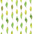 Watercolor hand drawn seamless pattern with different type of green leaves and branches. Royalty Free Stock Photo