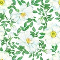 Watercolor hand drawn seamless pattern with floral wild rose flowers leaves branches. Green leaf greenery white blue