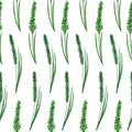 Watercolor hand drawn seamless pattern with green leaves natural leaf greenery, wild herbs fabricprint design. Elegant