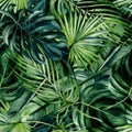 Watercolor hand drawn seamless pattern with green tropical leaves of monstera, banana tree and palm on black background Royalty Free Stock Photo