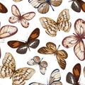 Watercolor hand drawn seamless pattern with illustration of exotic butterflies, moths isolated on white background. Set Royalty Free Stock Photo