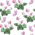 Watercolor hand drawn seamless pattern illustration of pink violet purple cyclamen wild flowers butterflies. Forest wood Royalty Free Stock Photo