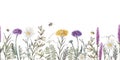 Watercolor hand drawn seamless pattern with illustration of wild flowers. Floral elements chamomile herbs, bumblebees Royalty Free Stock Photo