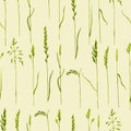 Watercolor hand drawn seamless pattern with meadow cereals.