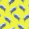 Watercolor hand drawn seamless pattern with parrot couple on yellow background.