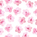 Watercolor hand drawn seamless pattern with pink cherry sakura flowers blossom bloom. Japanese Chinese Asian plant