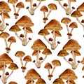 Watercolor hand drawn seamless pattern poisonous dangerous mushroom illustration of webcap fungi. Brown ochre caps dark