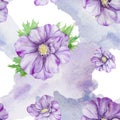 Watercolor hand drawn seamless pattern of purple anemones with green leaves isolated on white background.