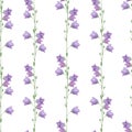 Watercolor hand drawn seamless pattern with purple meadow flowers of CamÃÂ­panula persicifolia bluebell, harebell, lady`s thimble