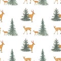 Watercolor hand drawn seamless pattern with spotted deers family in  coniferous forest isolated on white background Royalty Free Stock Photo