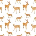 Watercolor hand drawn seamless pattern with spotted deers family isolated on white background. Royalty Free Stock Photo