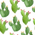 Watercolor hand drawn seamless pattern of tropical mexican cactus cacti succulents. Green natural house plants in pots Royalty Free Stock Photo