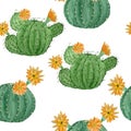 Watercolor hand drawn seamless pattern of tropical mexican cactus cacti succulents. Green natural house plants in pots Royalty Free Stock Photo