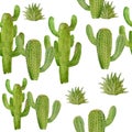 Watercolor hand drawn seamless pattern of tropical mexican cactus cacti succulents. Green natural house plants in pots Royalty Free Stock Photo