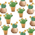 Watercolor hand drawn seamless pattern of tropical mexican cactus cacti succulents. Green natural house plants in pots Royalty Free Stock Photo