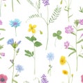 Watercolor hand drawn seamless pattern with wild meadow flowers cornflower, poppy, cow vetch, dandelion, celandine isolated