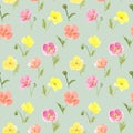 Watercolor hand drawn seamless pattern with wild poppies flowers