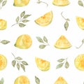 Watercolor hand drawn Seamless pattern. Yellow citrus fruit fruit. Sicily Lemon, leaves and flowers. Tropical Royalty Free Stock Photo