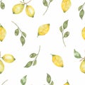 Watercolor hand drawn Seamless pattern. Yellow citrus fruitfruit fruit. Sicily Lemon, leaves and flowers. Tropical illustration