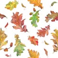 Watercolor hand drawn autumn oak and maple leaves and seeds seamless pattern in natural colors Royalty Free Stock Photo