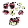 Watercolor Hand drawn set of apples. Vector sketch