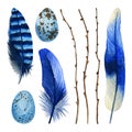 Watercolor hand drawn set of blue feathers, branches, egg isolated on white background Royalty Free Stock Photo