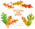 Set of hand drawn watercolor autumn oak leaves elements Royalty Free Stock Photo