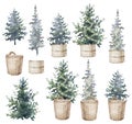 Watercolor hand drawn set with Christmas tree with lights and backets. New Year tree in the wicker basket collection Royalty Free Stock Photo