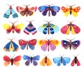 Watercolor hand drawn set of colorful butterflies and moths on white background Royalty Free Stock Photo