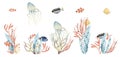 Watercolor hand drawn set, colorful illustration of sea underwater plants, fish, seaweeds, ocean coral reef. Aquarium