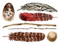 Watercolor hand drawn set of feathers, branches, pebble, egg Royalty Free Stock Photo