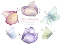 Watercolor hand drawn set with illustration of colorful exotic butterflies. Pink, blue, yellow, green elements isolated Royalty Free Stock Photo