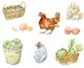 Watercolor hand drawn set of illustrations on the theme of the harvest. Realistic rustic collection of vegetables