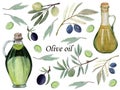 Watercolor hand drawn Set with Olive Oil Bottle and olives branches and olives.