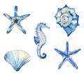 Watercolor hand-drawn set of starfish, seashells and seahorse. Ocean creatures collection. Blue illustration on white Royalty Free Stock Photo