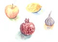 Watercolor hand drawn sketch illustration of fruits and vegetable: apple, lemon, pomegranate and garlic Royalty Free Stock Photo