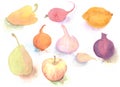 Watercolor hand drawn sketch illustration of fruits and vegetables on white background Royalty Free Stock Photo