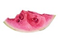 Watercolor hand-drawn slice of watermelon isolated on white background. Summer autumn fruit food. Creative realistic