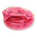 Watercolor hand-drawn slice of watermelon isolated on white background. Summer autumn fruit food. Creative realistic